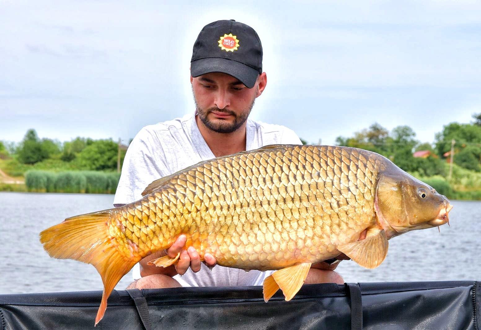 Moara Vlasiei 2 - img-20180611-wa0048.jpg